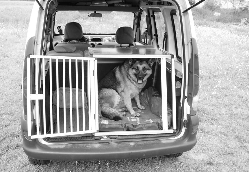 Hund und Kangoo