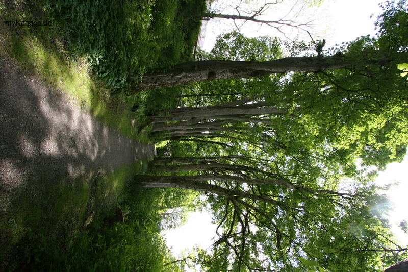 treffen2006-99