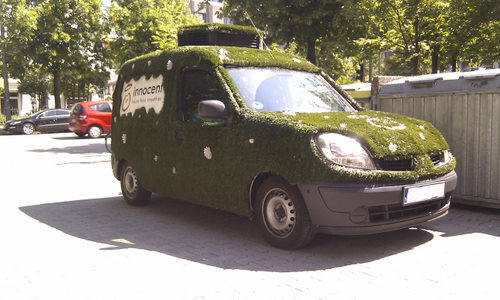 Kangoo Wiese