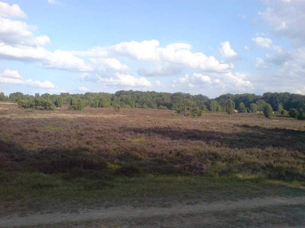 Treffen2009