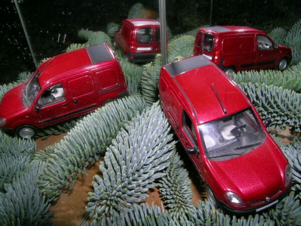 Kangoo im Advent 2010